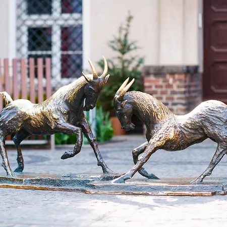 Mynest Ratajczaka شقة بوزنان